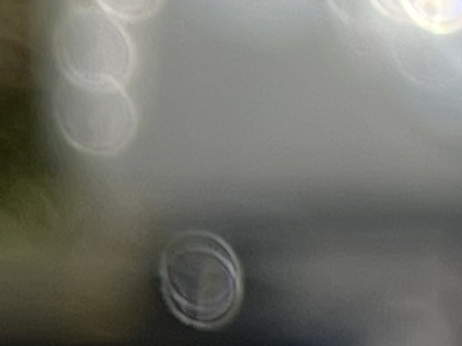 dmv north carolina examen