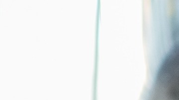 desponchadora cerca de mi