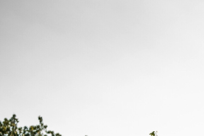 Audi RS 6 Avant performance y RS 7 Sportback performance