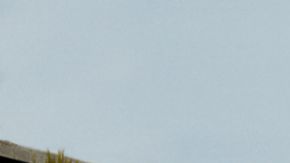 Colores de autos de Porsche