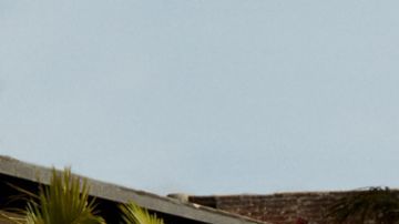 Colores de autos de Porsche