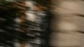 Fiat lanza su miniauto, el Topolino