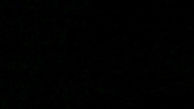 porque vibra mi carro estando parado