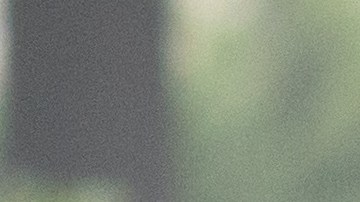 Qué hacer si notas que una persona no es segura para conducir