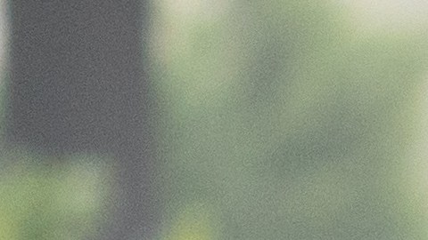 Qué hacer si notas que una persona no es segura para conducir