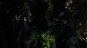 semana del cono carros autonomos california