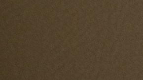 ser camionero en Estados Unidos