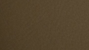 ser camionero en Estados Unidos