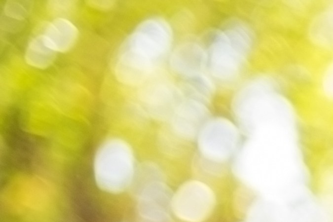 documentos para licencia de conducir en virginia