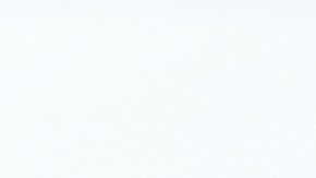 se puede viajar dentro de estados unidos sin papeles