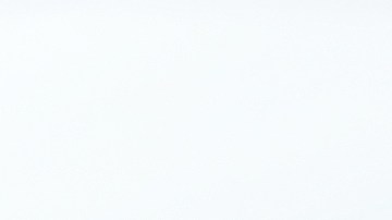 se puede viajar dentro de estados unidos sin papeles