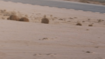 Tesla muestra imágenes de nueva planta de producción para crear el Cybertruck