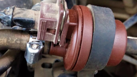 Qué es el canister o sistema Evap y cómo funciona
