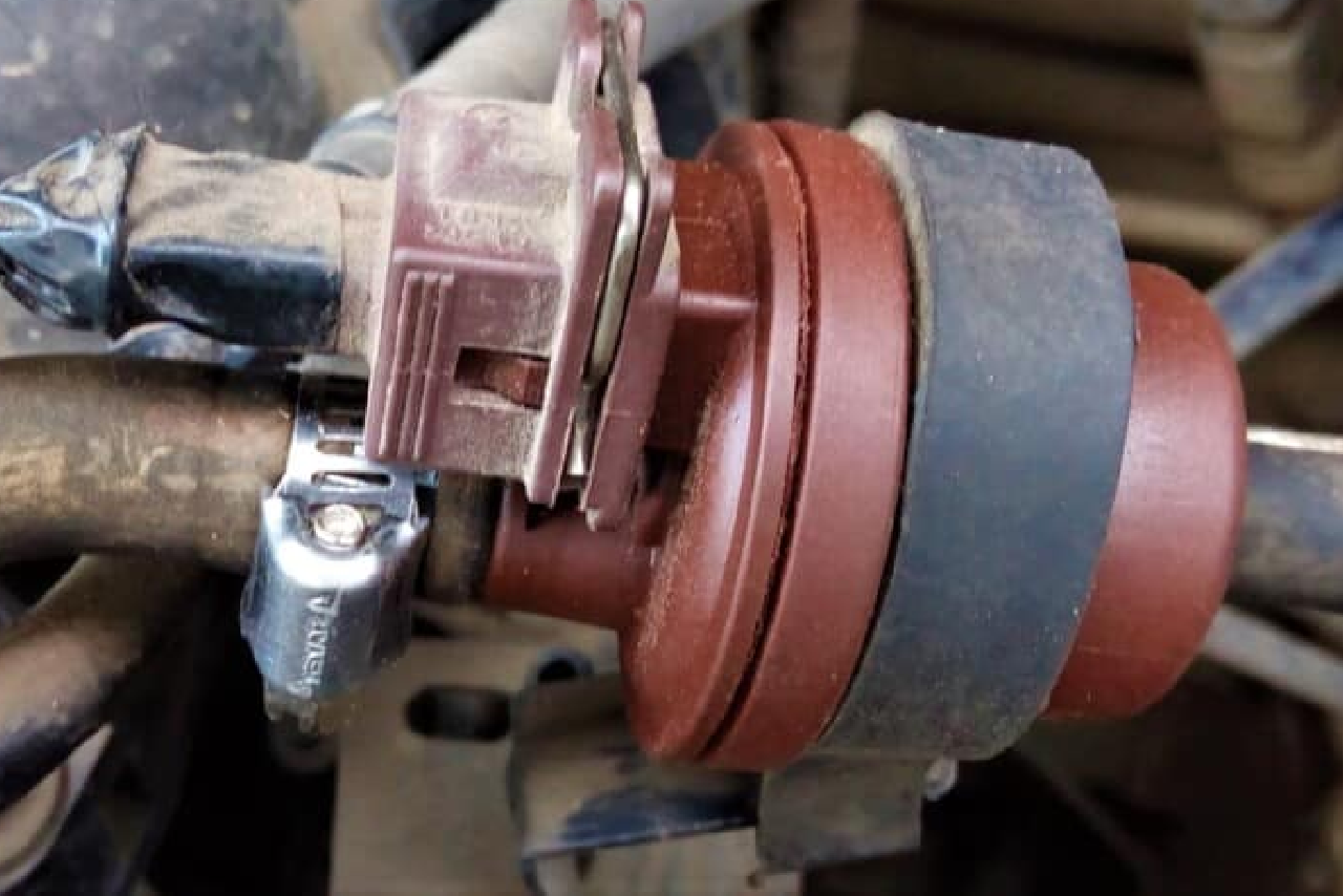 Qué es el canister o sistema Evap y cómo funciona Siempre Auto