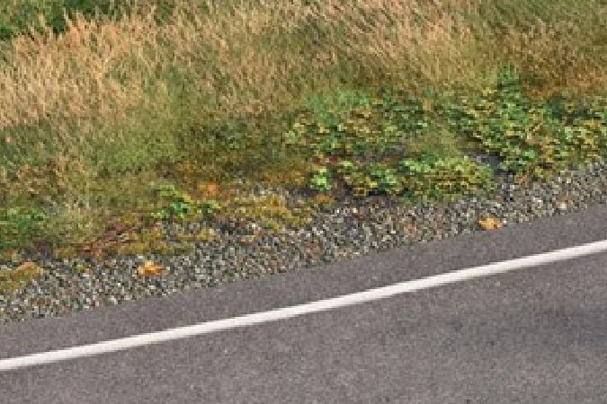 Crew Protect Assist: Lo último en seguridad vial de Skoda