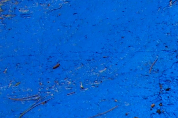 Licencia de conducir discapacitados en Colorado