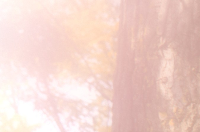 grúas en los angeles 24 horas