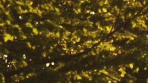 Cómo usar correctamente frenos ABS