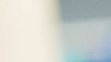 inspección de carros