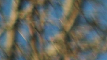 Licencia de conducir para indocumentados en Pensilvania