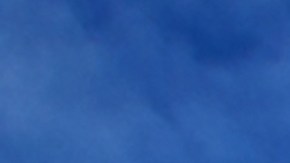 cambios en la licencia de conducir en illinois