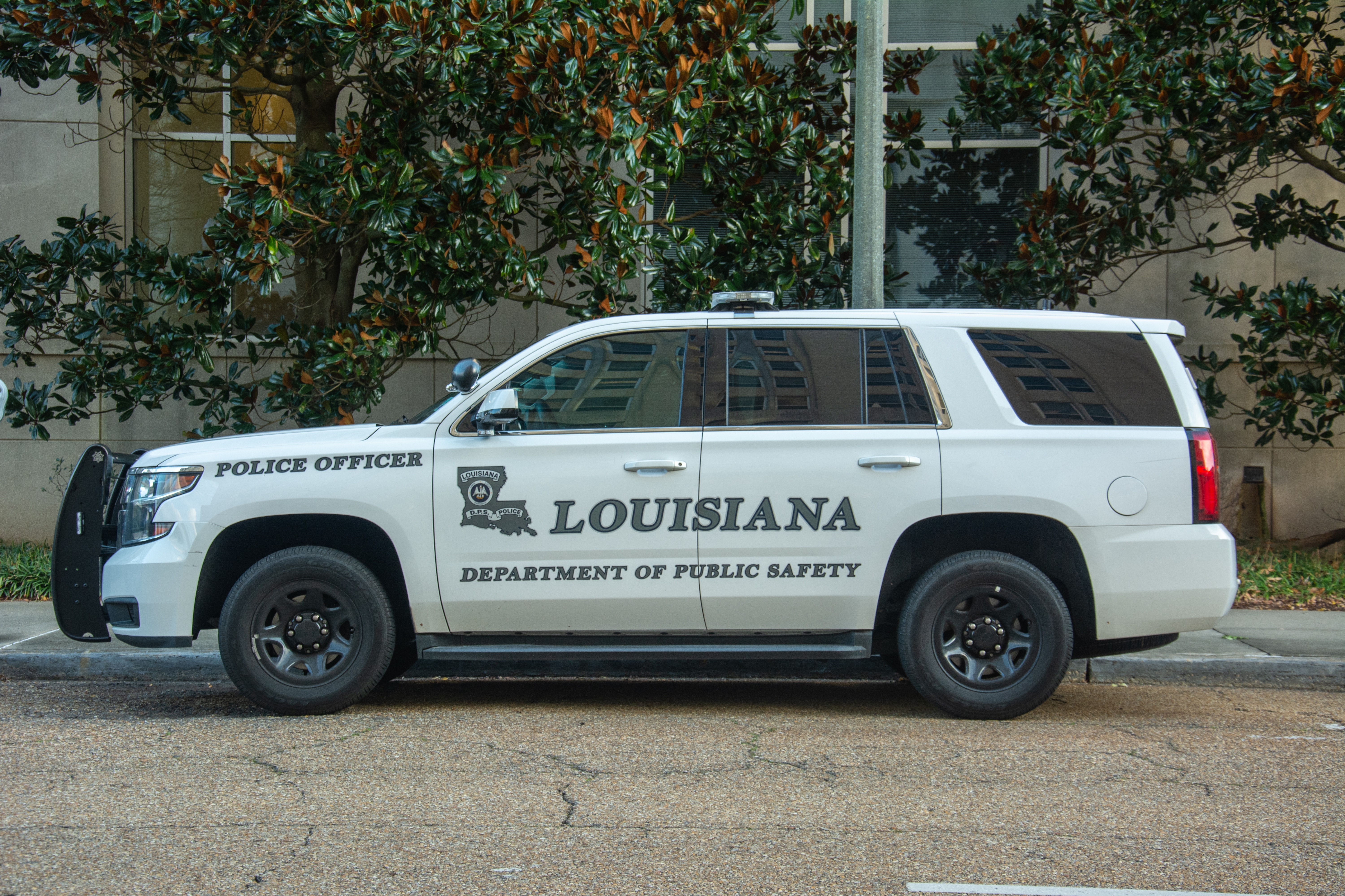 licencia de conducir louisiana