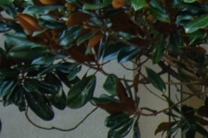 Cambio de domicilio en la licencia