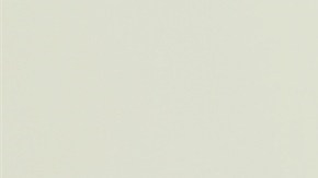 Licencia de conducir para indocumentados en Illinois