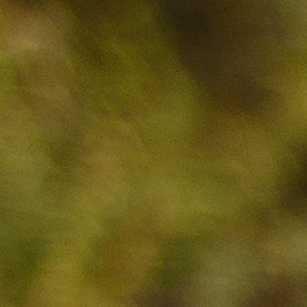 motor del carro fundido