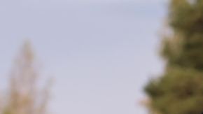 Cómo proteger tu carro ante la nube de polvo