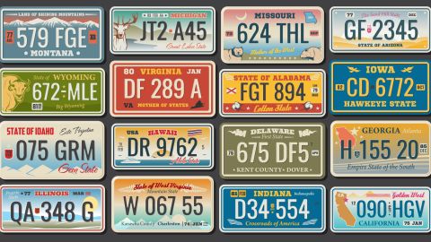 placas especiales florida