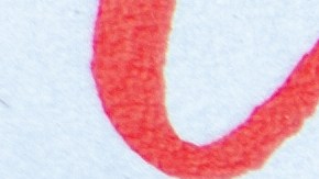 renovación de placas cerca de mí