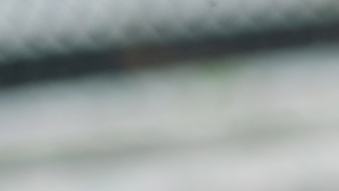 7 cosas que probablemente no sabías que cubre el seguro de auto