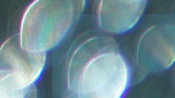 Salida de emergencia: cómo romper fácilmente el cristal del carro