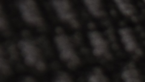 ¿Sabes que los cinturones de seguridad traseros deben ir ajustados aunque nadie viaje?
