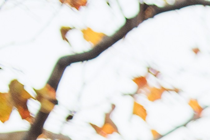 Bicicleta eléctrica