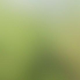 Los 10 autos deportivos más baratos que puedes comprar en México