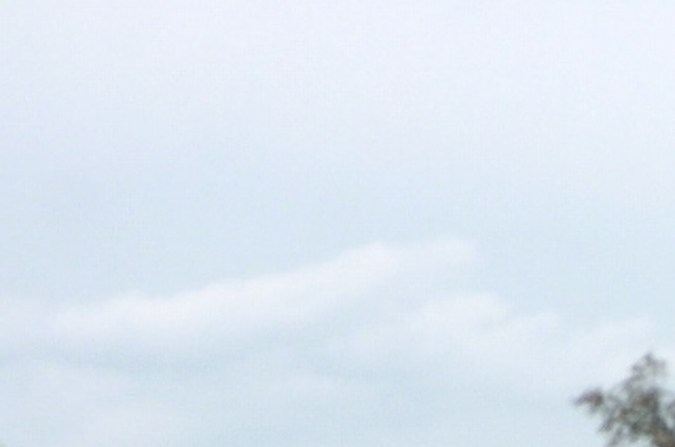 Qué son las puertas "alas de gaviota"