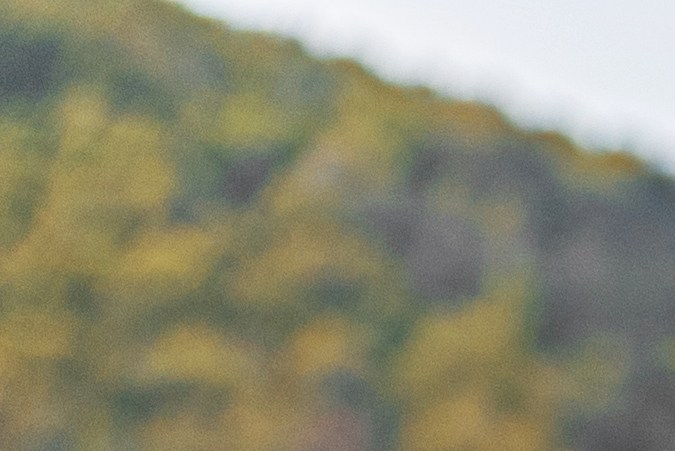 Esta es la razón por la que EE. UU. no requiere señales de giro ámbar