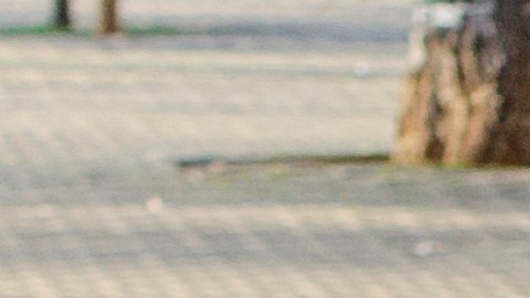 Bicicletas eléctricas