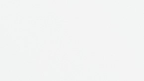 Licencia de conducir en Kentucky para indocumentados