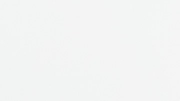 Licencia de conducir en Kentucky para indocumentados