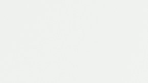 inspección de vehículos