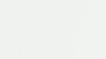 inspección de vehículos