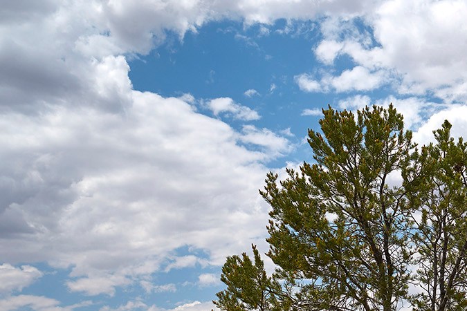 Toyota Land Cruiser 2024.