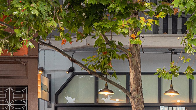 robotaxis cruise en dc