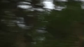 Genesis GV60 aumenta su autonomía para 2024