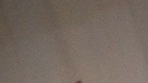 Subastas de carros en NY