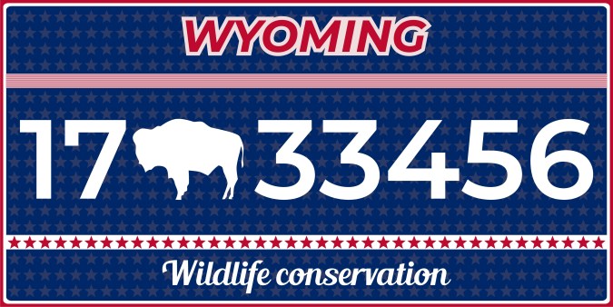 Debes dar el examen de manejo en Wyoming