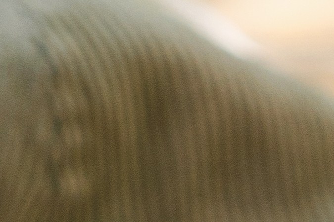 cuanto gana un conductor de Door Dash